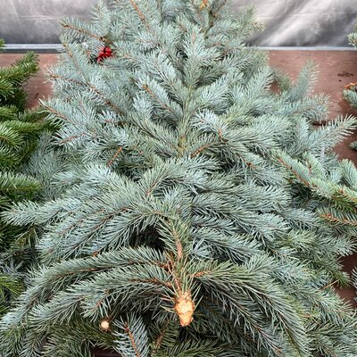 Dekoration Dekoration